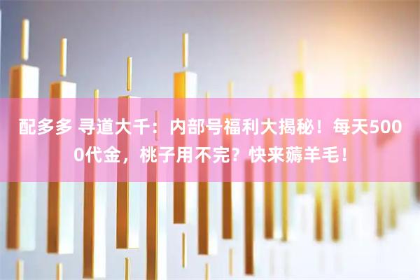配多多 寻道大千：内部号福利大揭秘！每天5000代金，桃子用不完？快来薅羊毛！