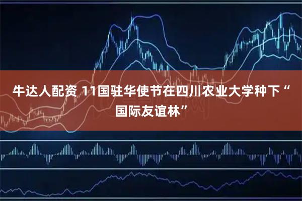 牛达人配资 11国驻华使节在四川农业大学种下“国际友谊林”