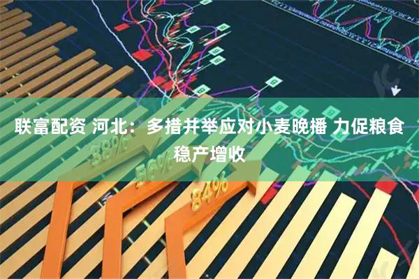 联富配资 河北：多措并举应对小麦晚播 力促粮食稳产增收