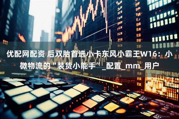 优配网配资 后双胎首选小卡东风小霸王W16：小微物流的“装货小能手”_配置_mm_用户