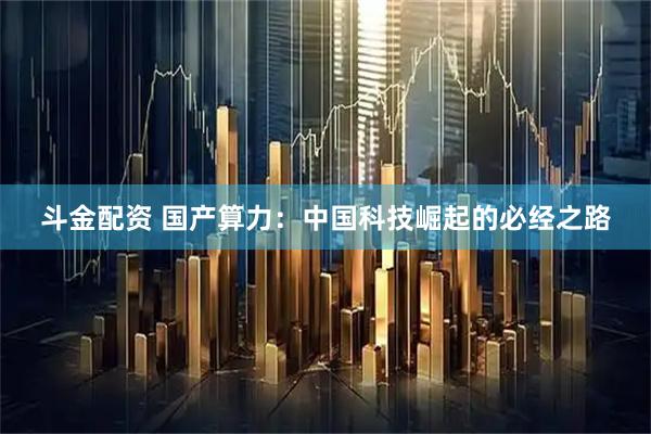 斗金配资 国产算力：中国科技崛起的必经之路