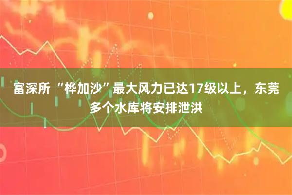富深所 “桦加沙”最大风力已达17级以上，东莞多个水库将安排泄洪